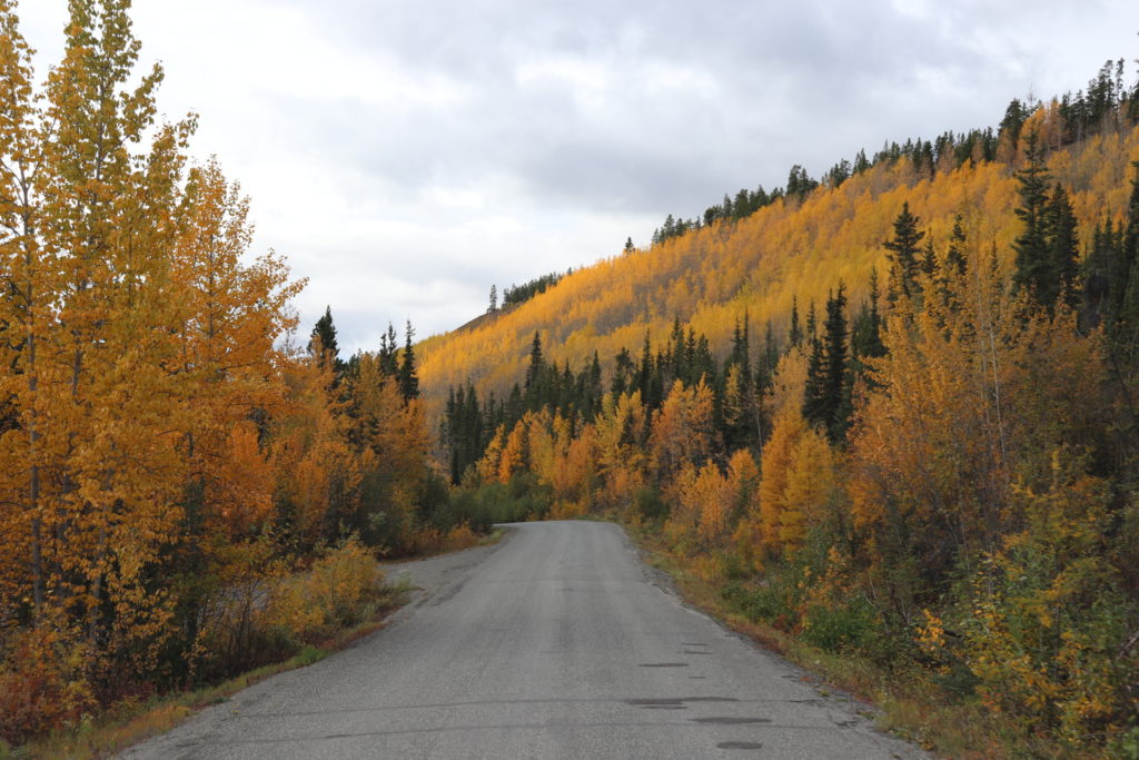 Road trip in the fall, Yukon