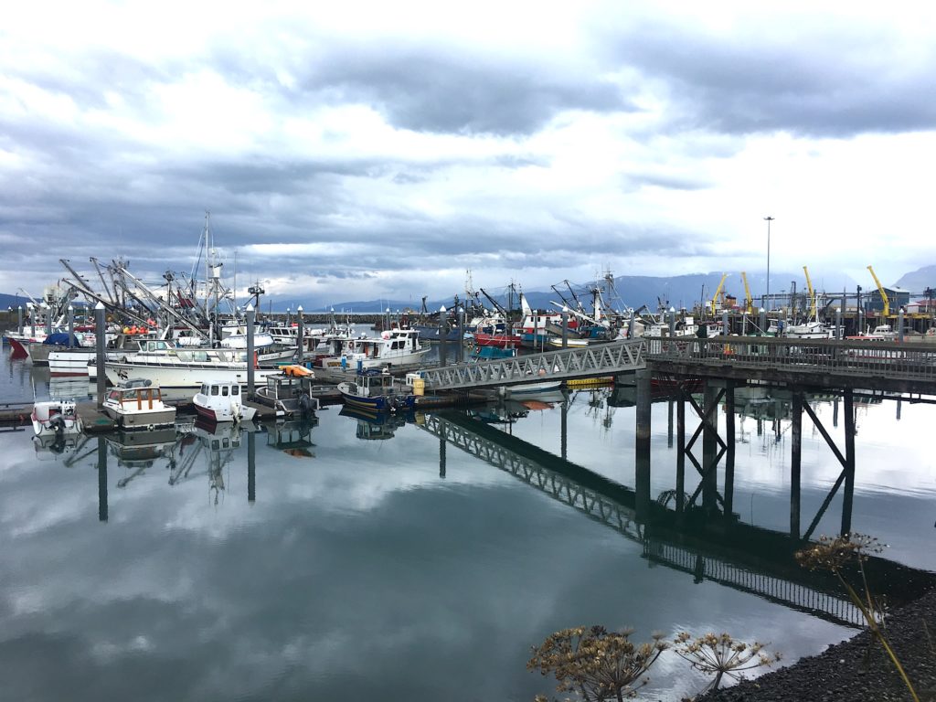 Fishing Port, Homer