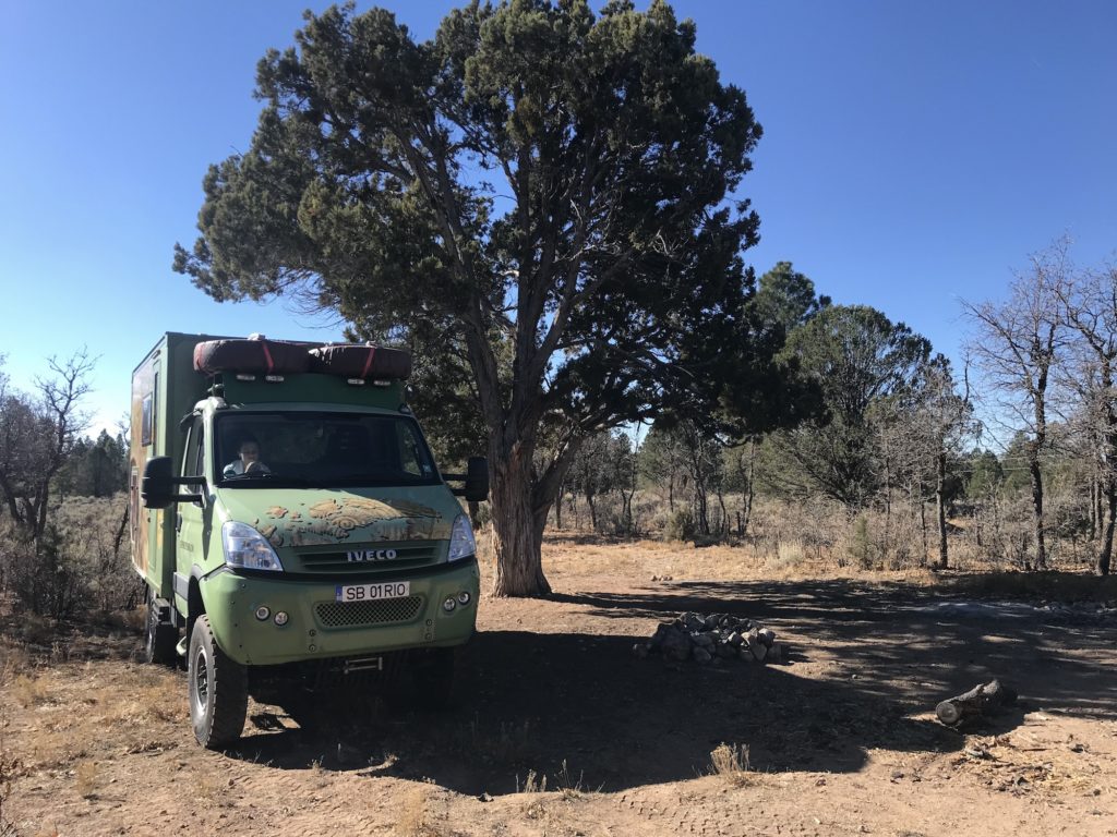 Camping in Kaibab Forest