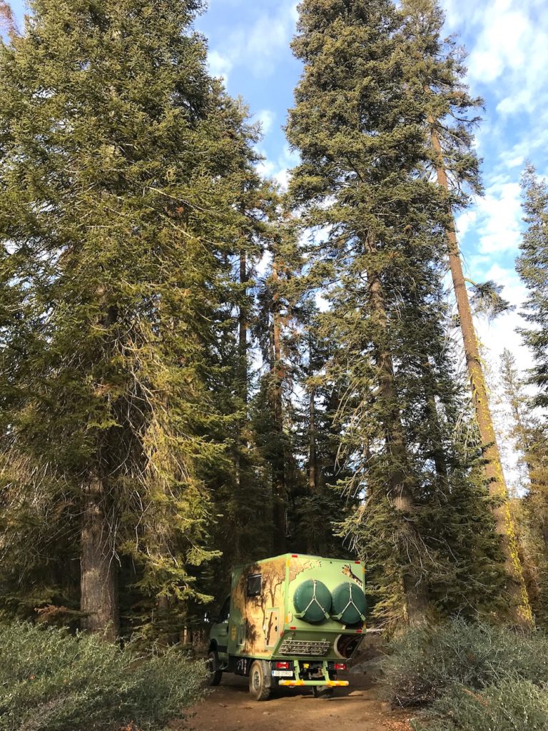 Camping next to giants