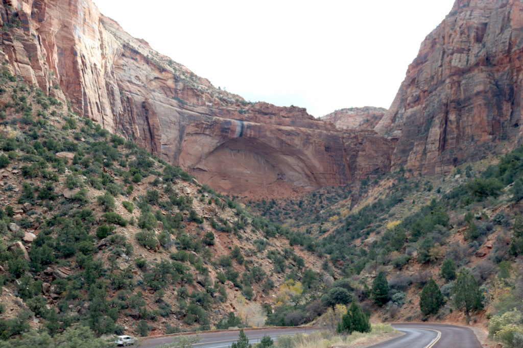 Scenic view driving through Zion NP