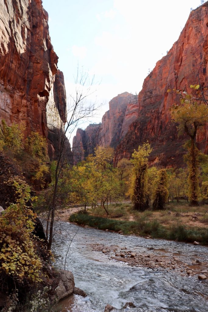 The Virgin River, Zion NP
