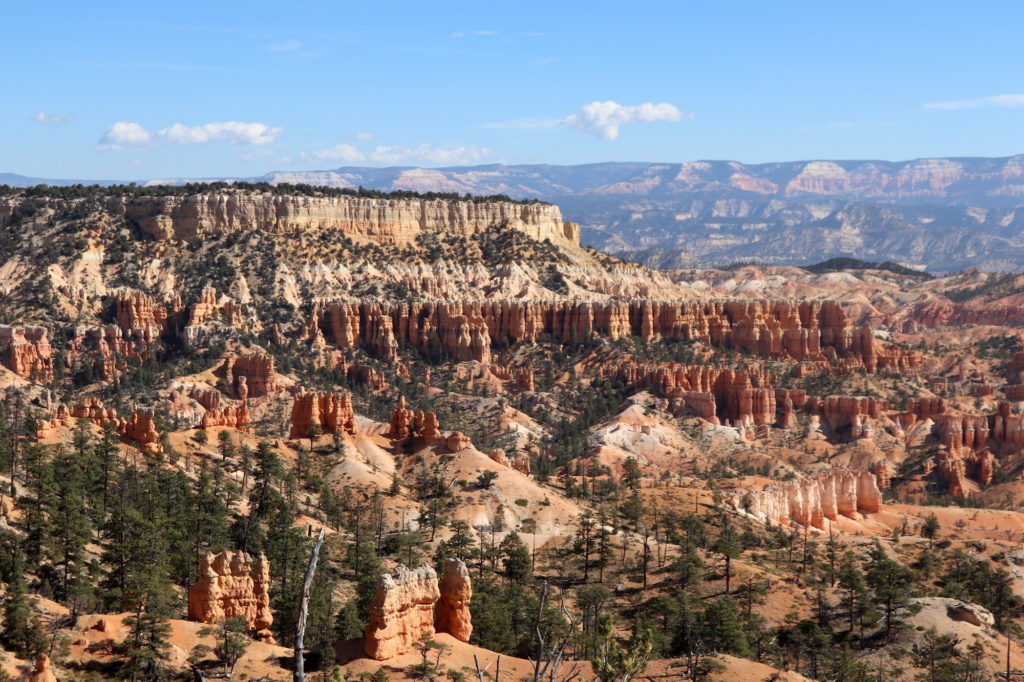 View of the Bryce Canyon 