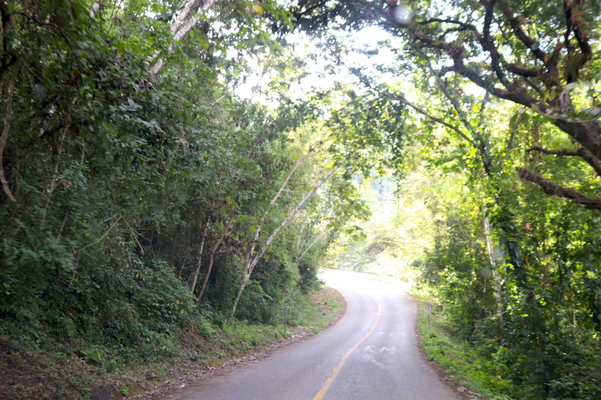Road through Sierra Sur mountains, Oaxaca