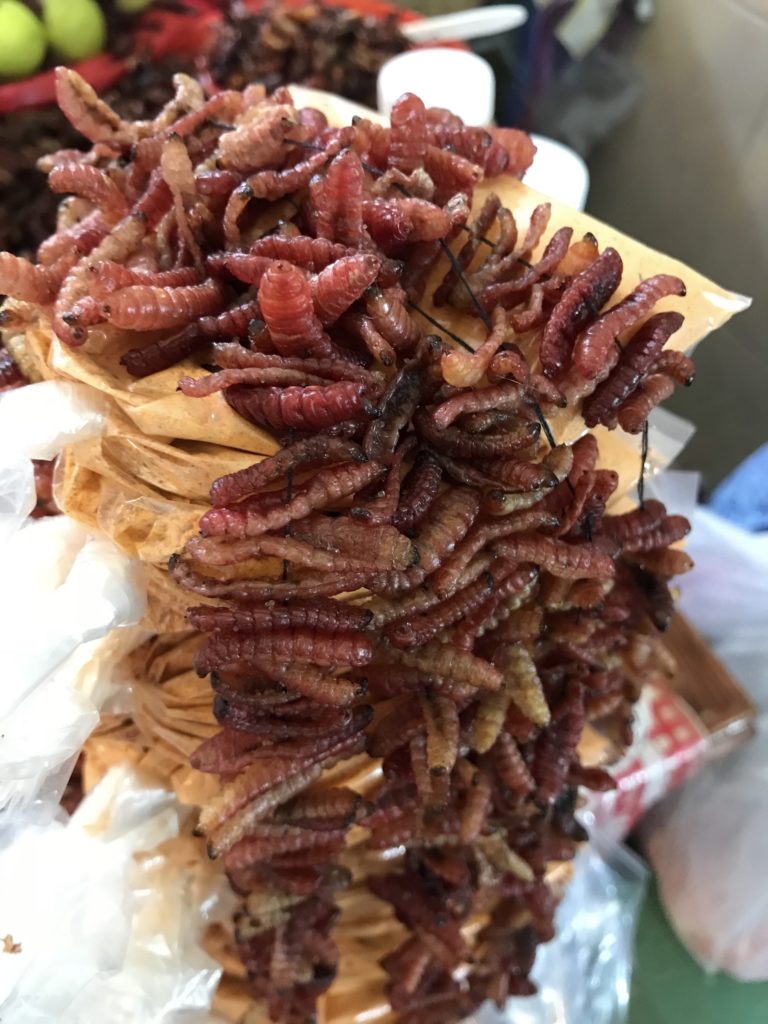 Worms as delicacy snack in Oaxaca