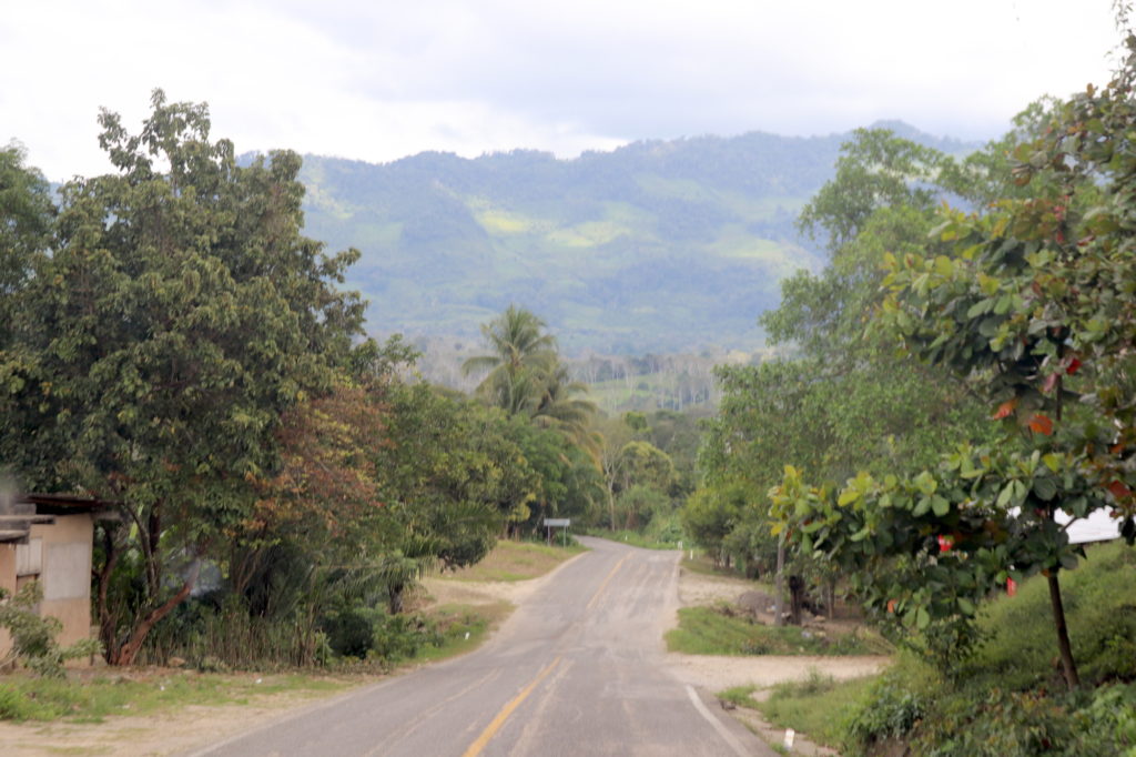 Roadview Chiapas