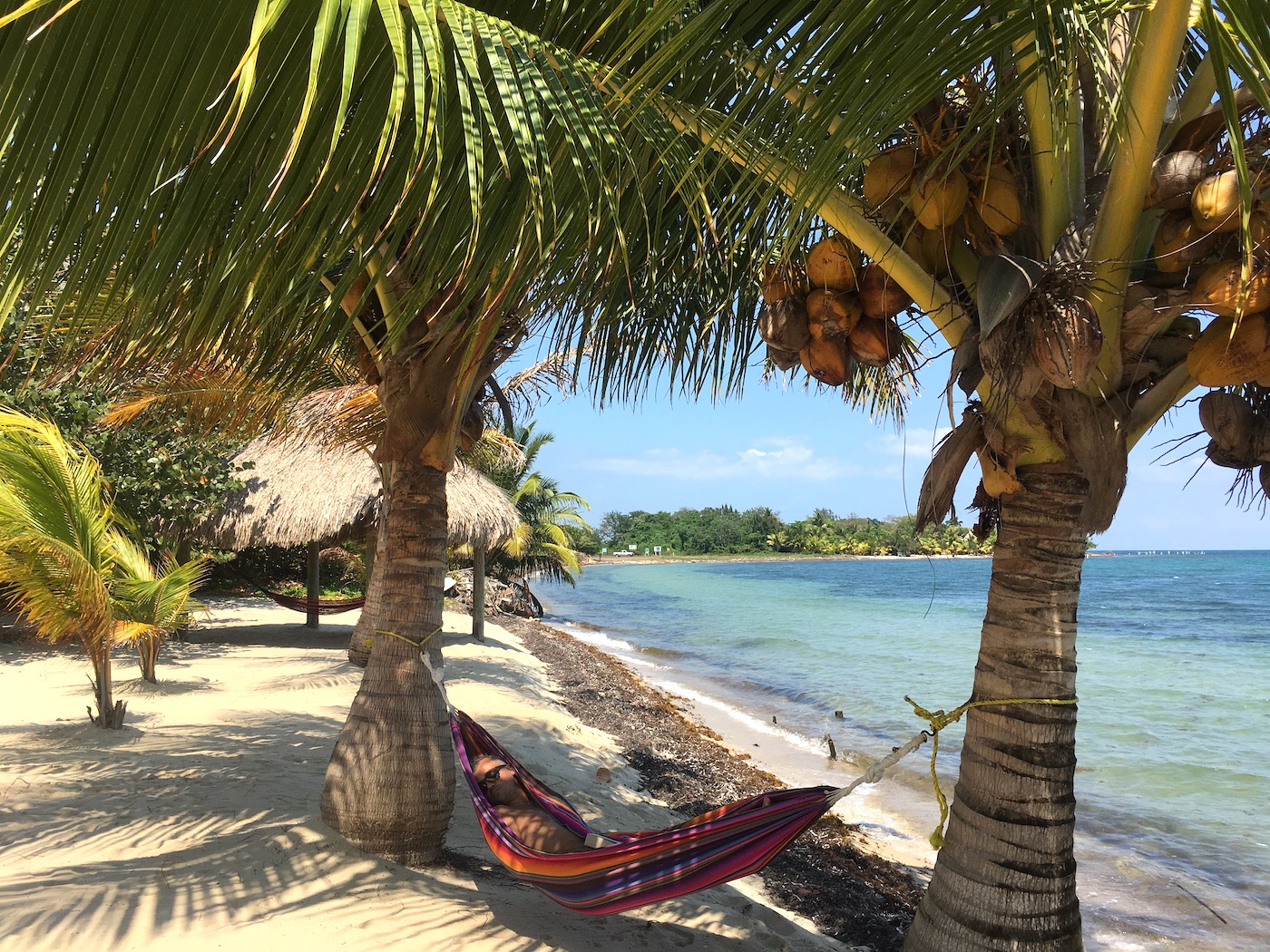 Lost on the hammock in Belize