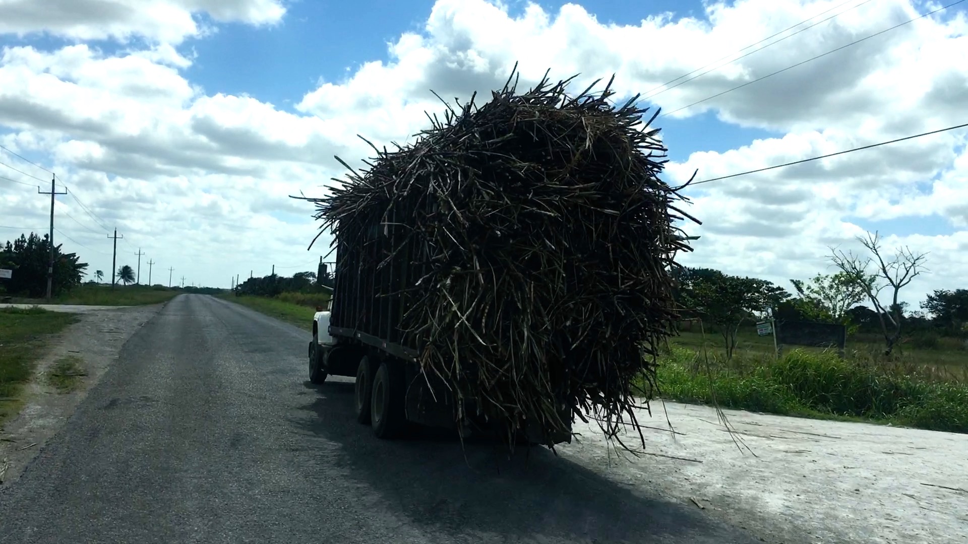 Overloaded truck with sugarcane