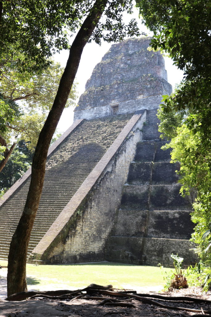 Tall pyramids at Tikal 