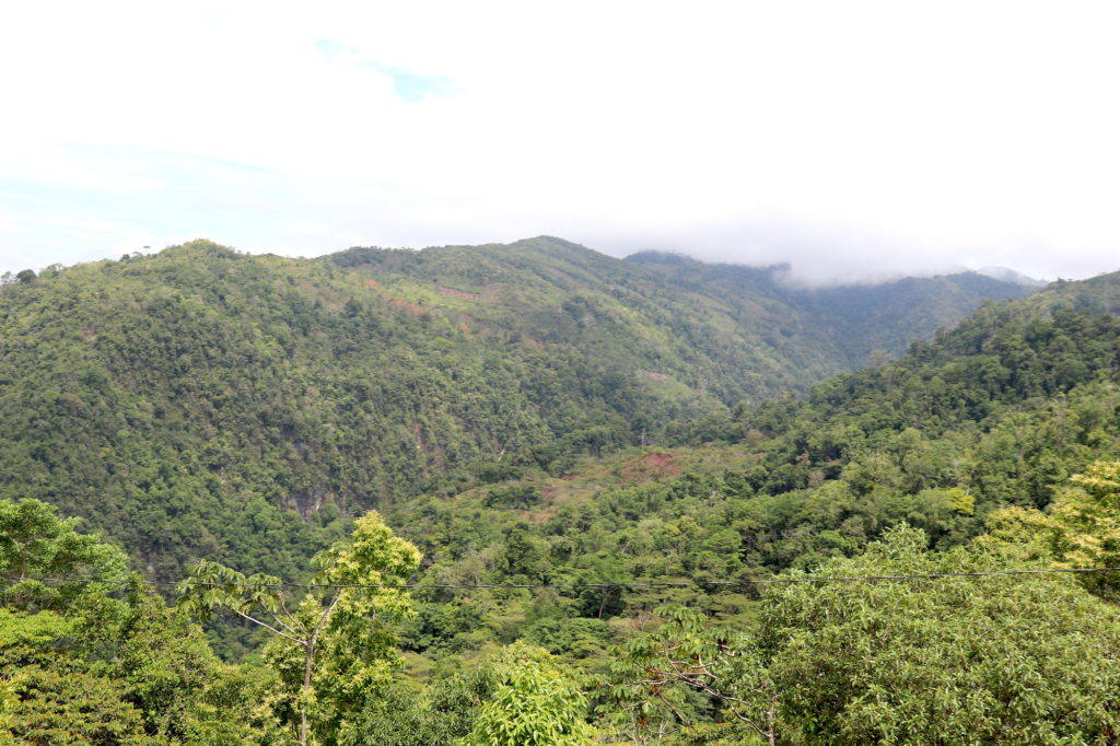 Mountain View Costa Rica 