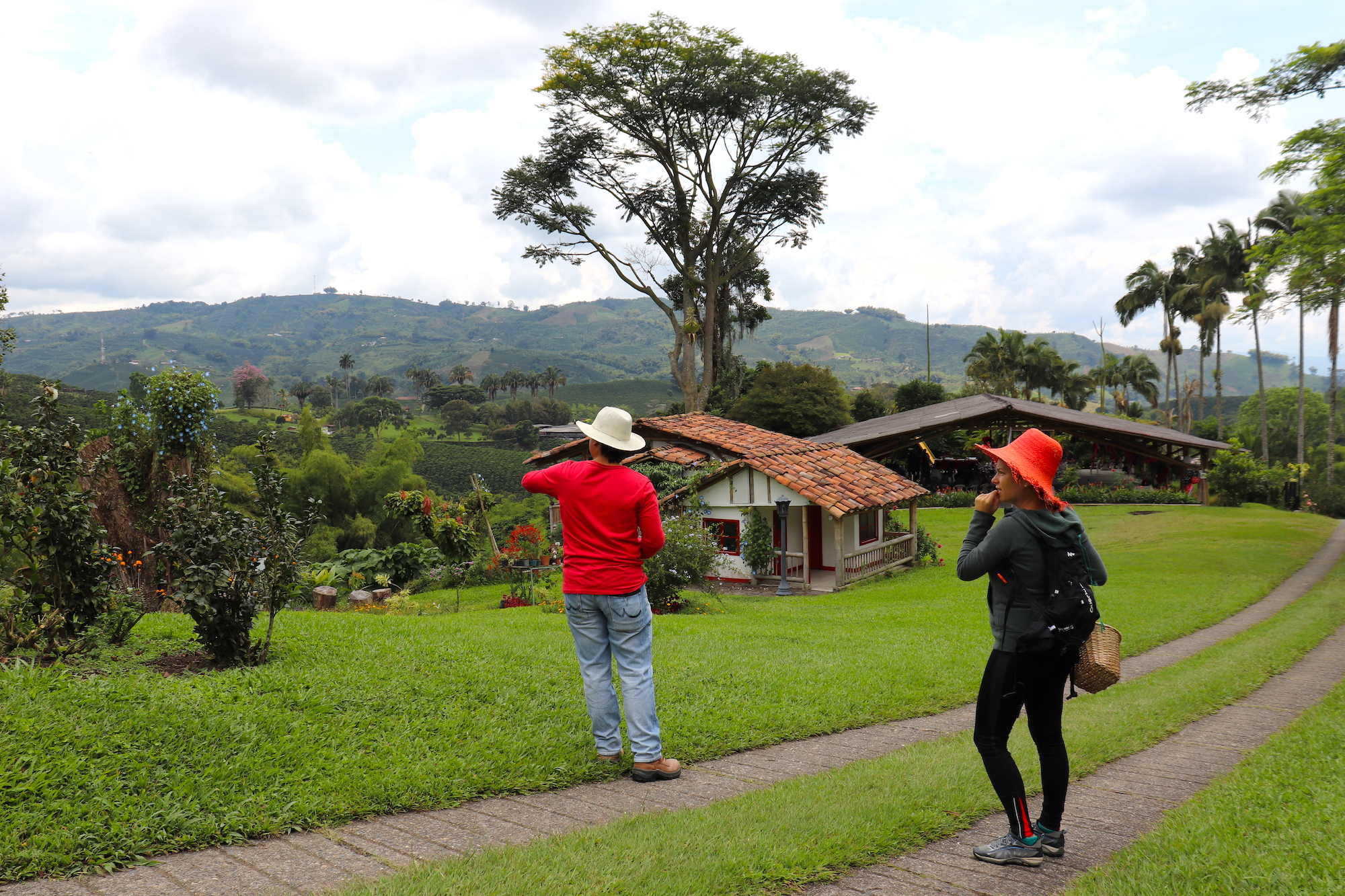 Up we went on the coffee  plantation of Finca Guyabal