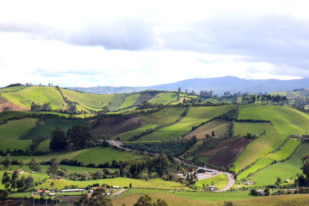Landscape entering Ecuador