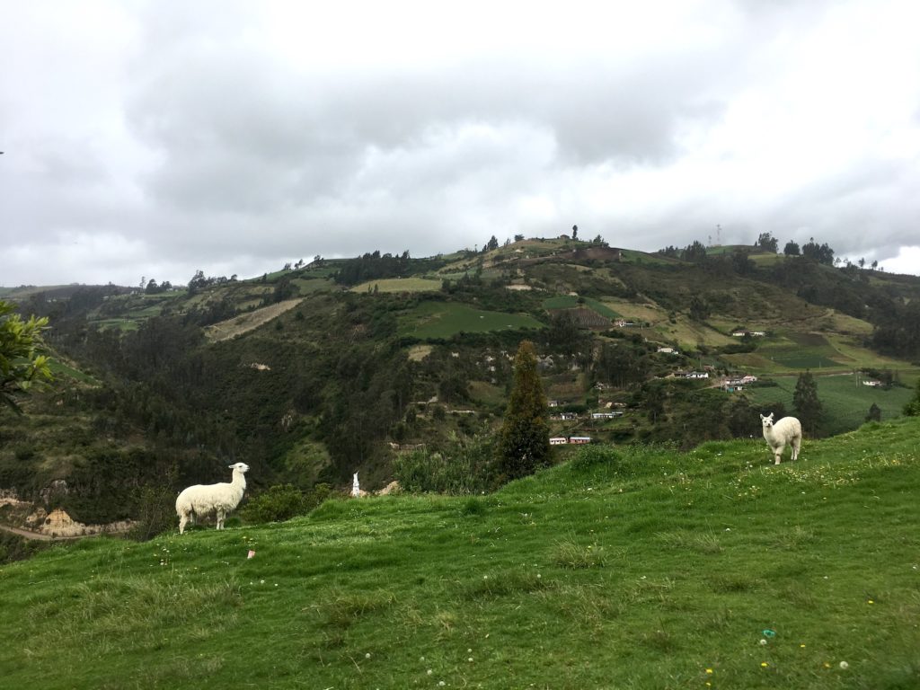 The Andes, Ecuador