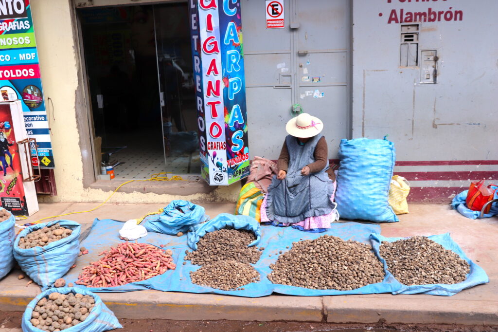 Ladies selling potatoes in the local market