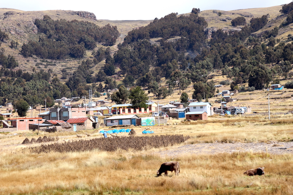Lansdscape of the Peruvian Andesc from Cusco to Puno