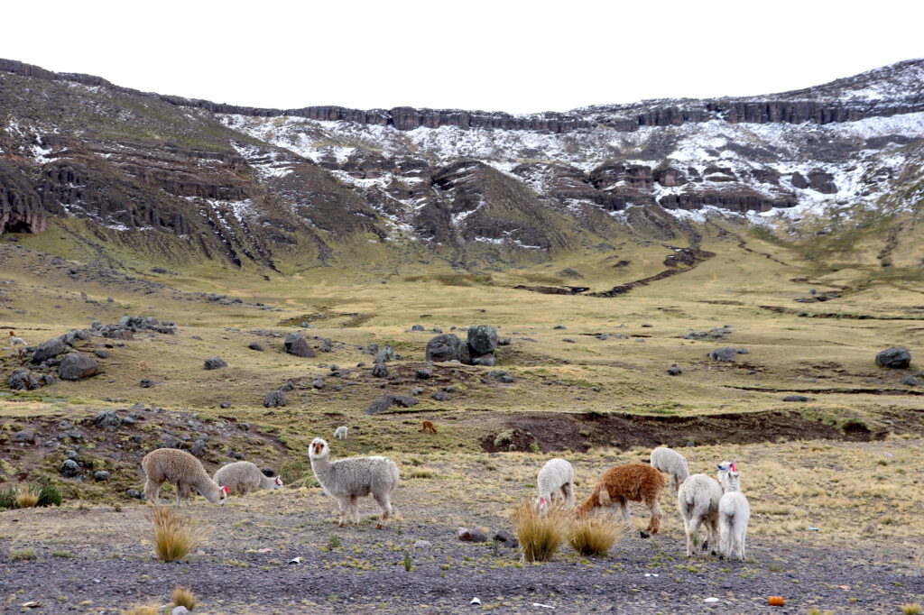 Landscapes of the Peruvian Altiplano 