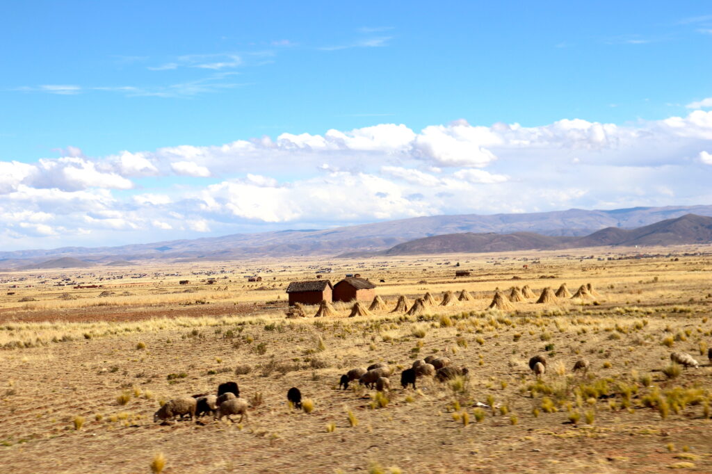 The Altiplano of Bolivia