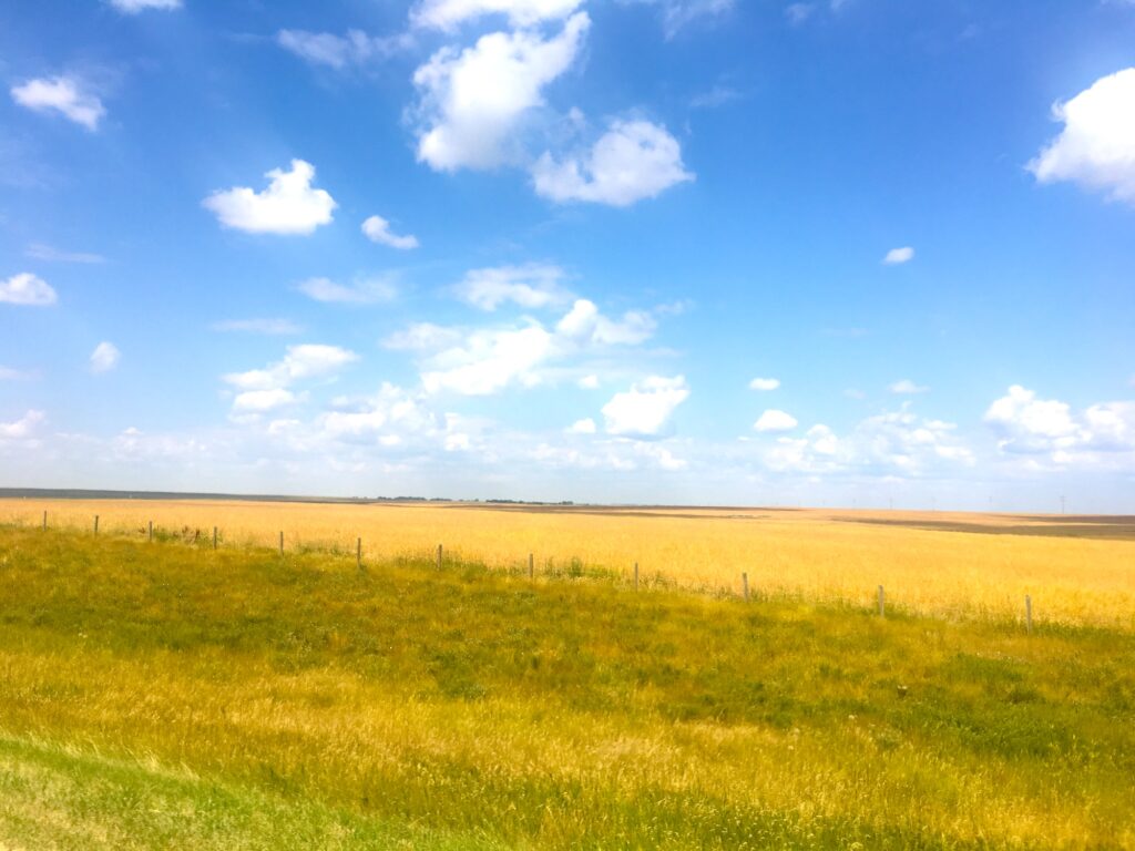 Thousands of miles of prairies in Manitoba and Saskatchewan